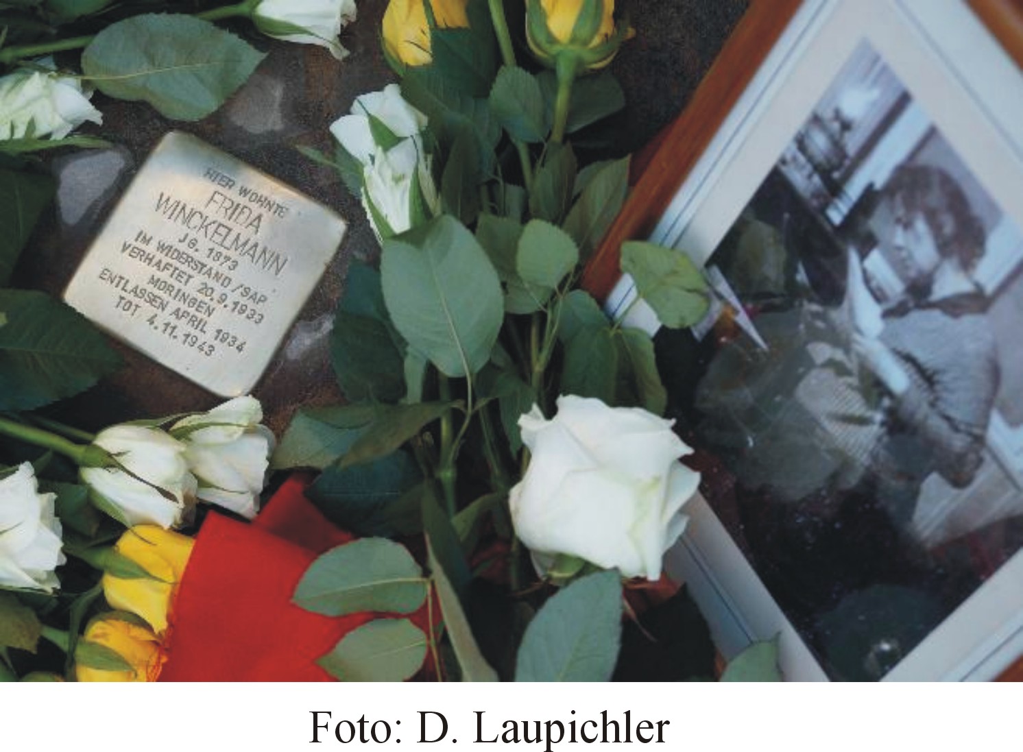 Foto des gerade verlegten Stolpersteins
